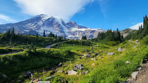 divorce attorney Tacoma, WA, Tacoma